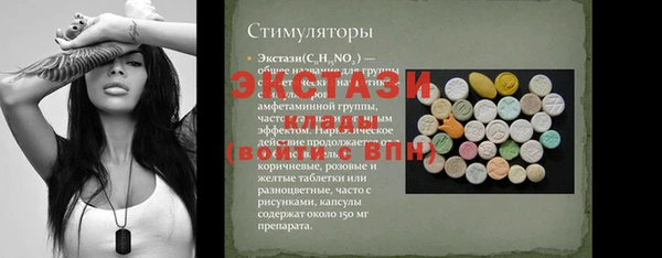крисы Новозыбков