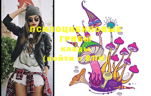крисы Новозыбков