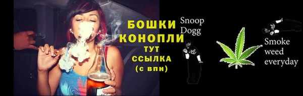 стафф Новодвинск