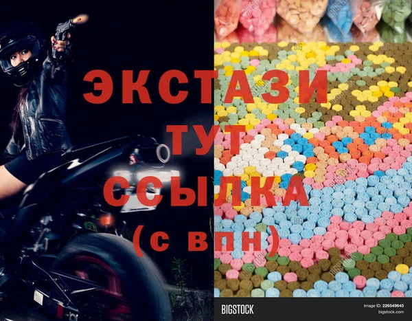 стафф Новодвинск