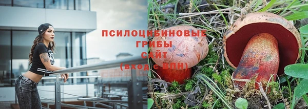 стафф Новодвинск