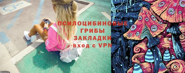 крисы Новозыбков