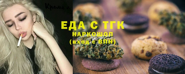 шишки Туринск