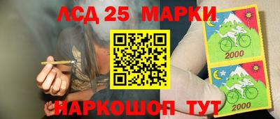 spice Жуковский