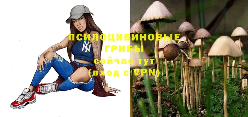 Галлюциногенные грибы Magic Shrooms  Кудрово 