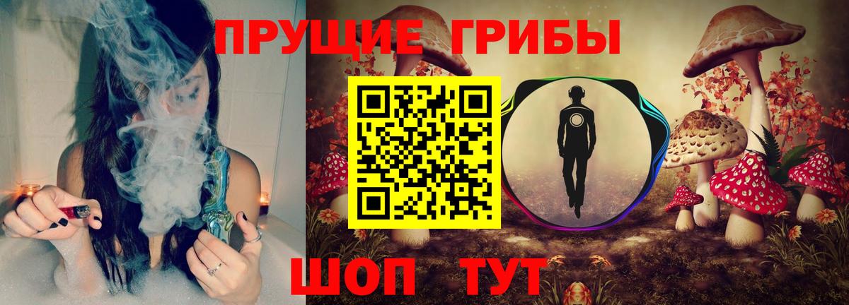 Кудрово  Галлюциногенные грибы MAGIC MUSHROOMS  Вход с VPN 