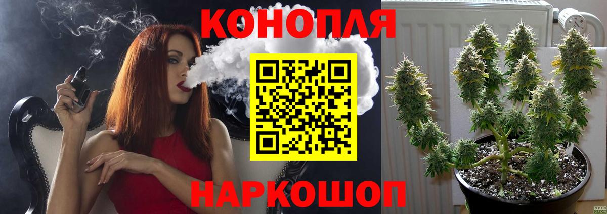 Марихуана конопля  Канабис SATIVA & INDICA  Кудрово 